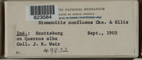 Image Associated With the Occurence